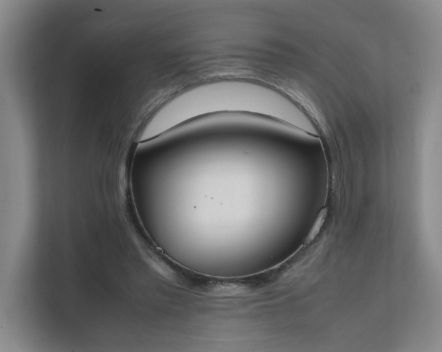 X0000111430397200907201112