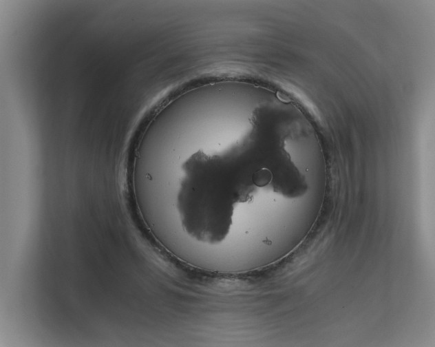 X0000111430399200907201112