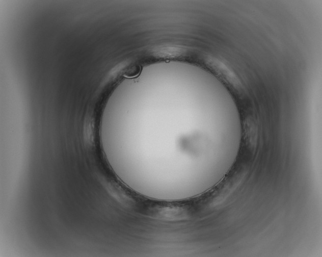 X0000111430400200907201112