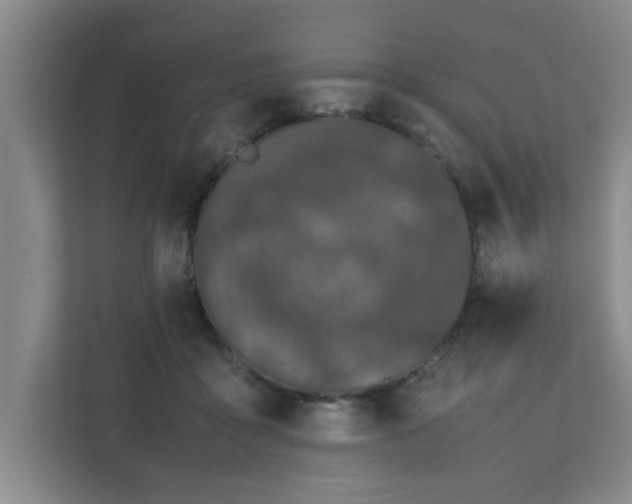 X0000111430411200907201112