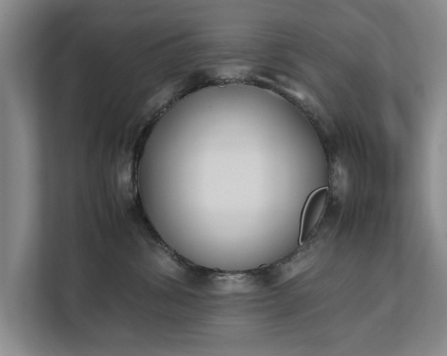 X0000111430428200907201112