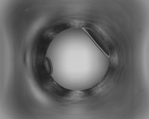 X0000111430429200907201112