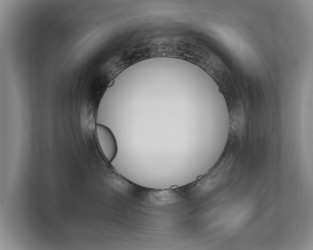 X0000111430431200907201112