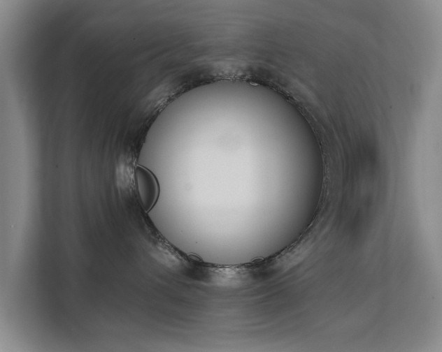 X0000111430432200907201112