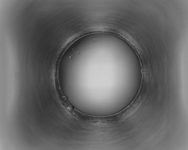 X0000111430434200907201111