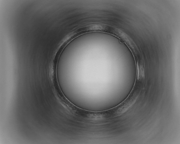 X0000111430435200907201111