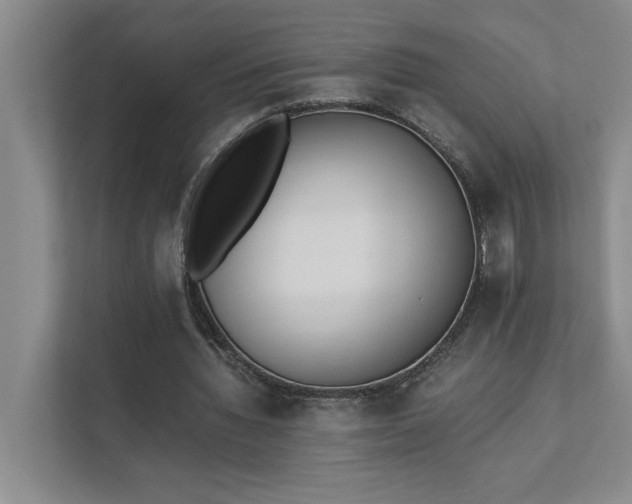 X0000111430436200907201111