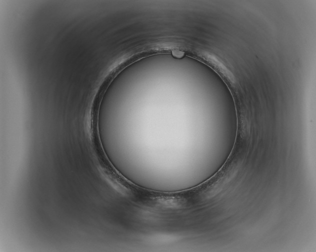 X0000111430439200907201111