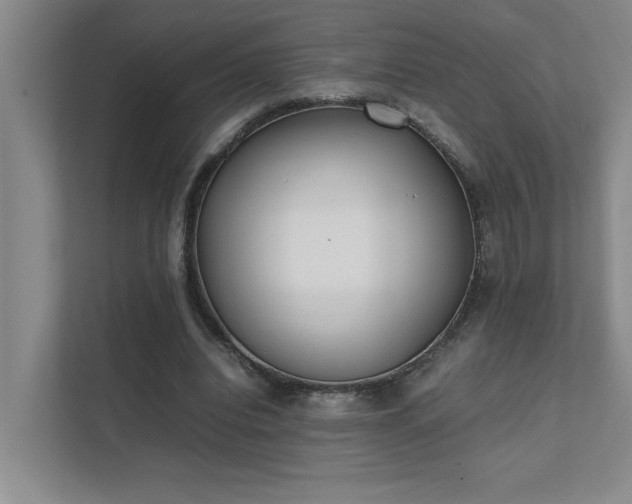 X0000111430440200907201111