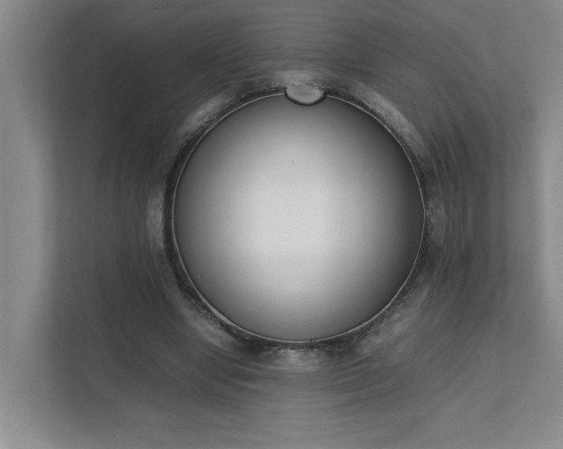 X0000111430442200907201111