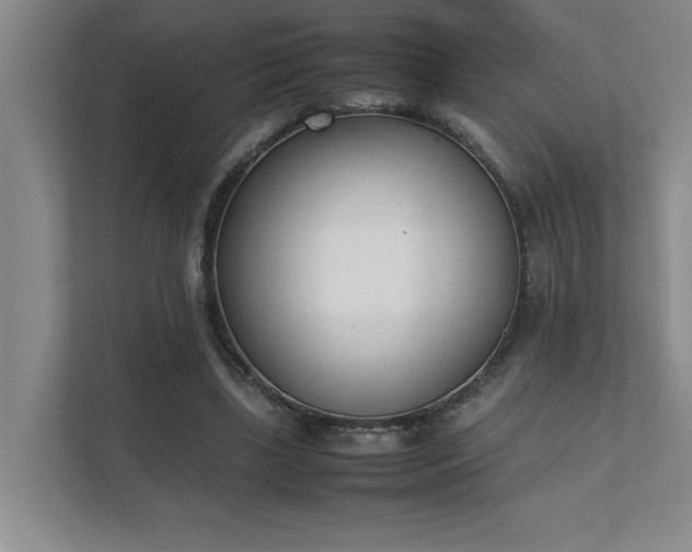 X0000111430443200907201111