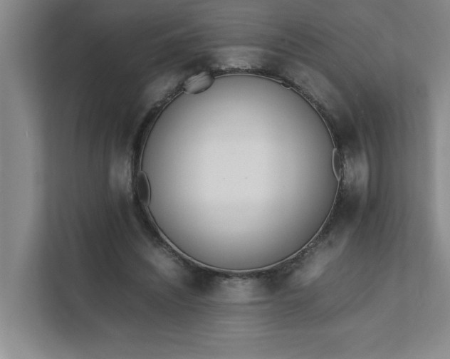 X0000111430444200907201111