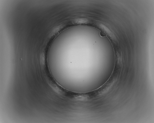 X0000111430447200907201111