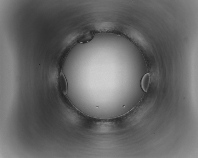 X0000111430448200907201112