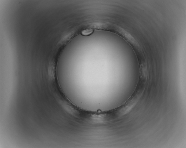 X0000111430450200907201112