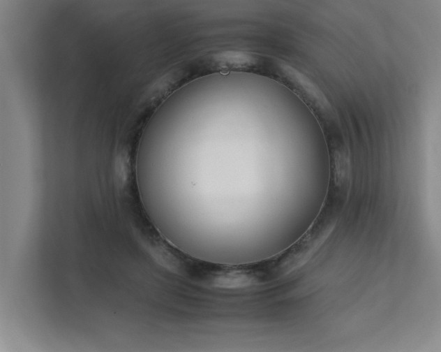 X0000111430451200907201112