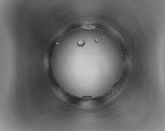 X0000111430452200907201112