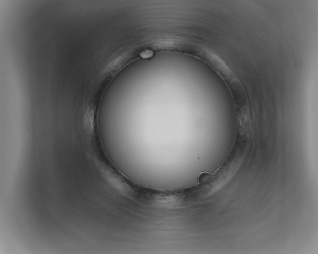 X0000111430454200907201112