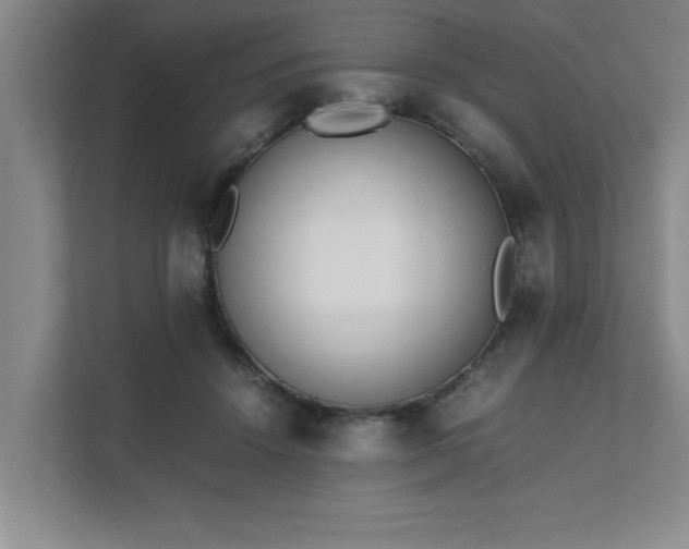 X0000111430456200907201112