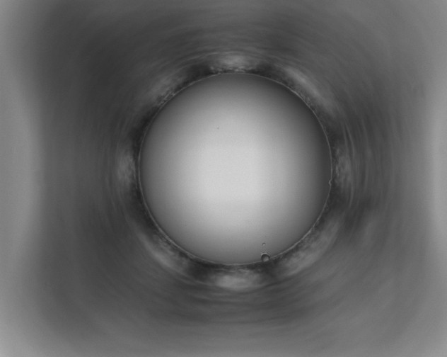 X0000111430459200907201112