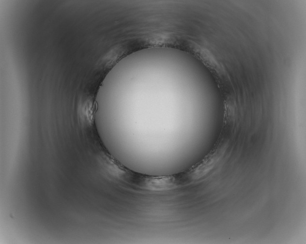 X0000111430479200907201112