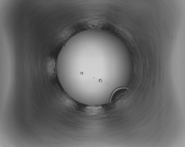 X0000111430480200907201112