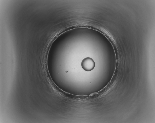 X0000111430481200907201111