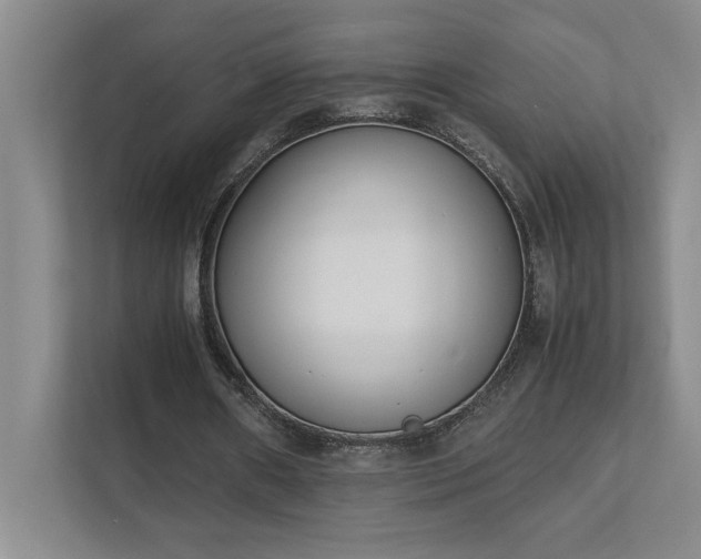 X0000111430482200907201111