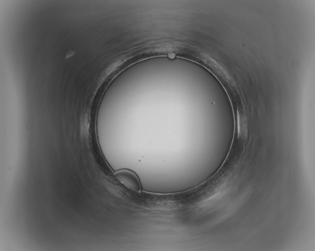 X0000111430483200907201111