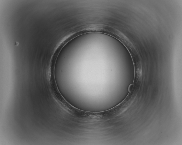 X0000111430484200907201111