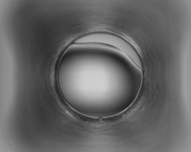 X0000111430485200907201111