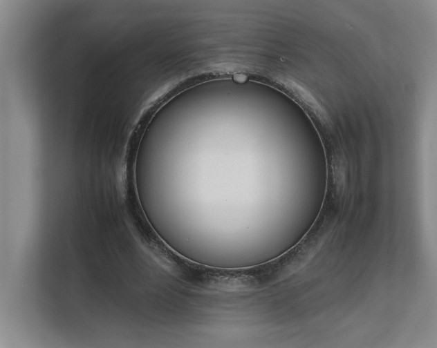 X0000111430488200907201111