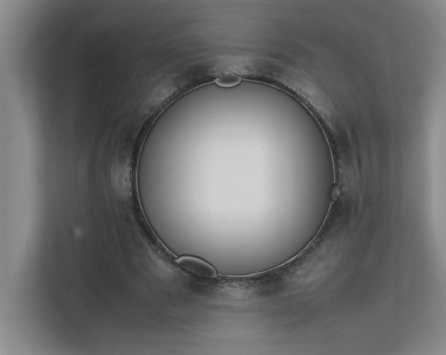 X0000111430489200907201111