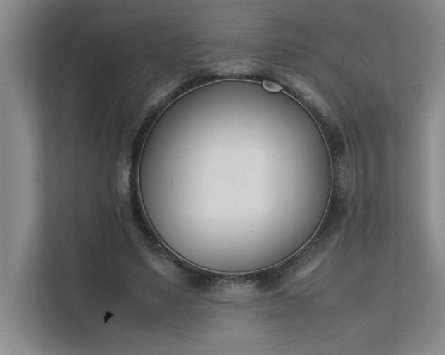 X0000111430491200907201111