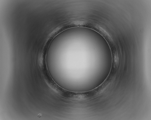 X0000111430492200907201111