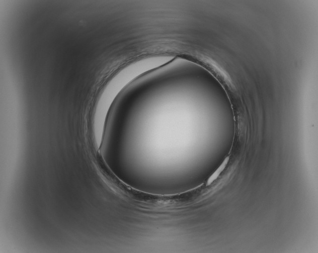 X0000111430493200907201111