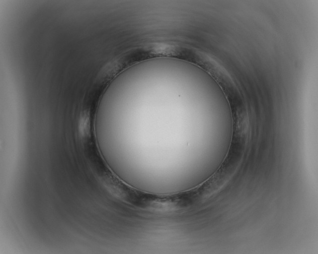 X0000111430502200907201111