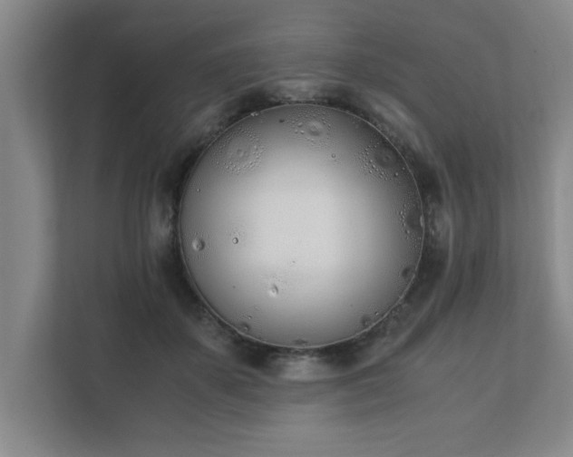 X0000111430507200907201111