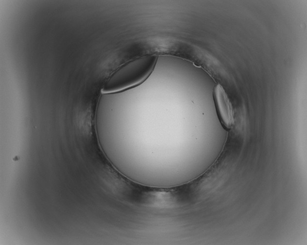 X0000111430509200907201111