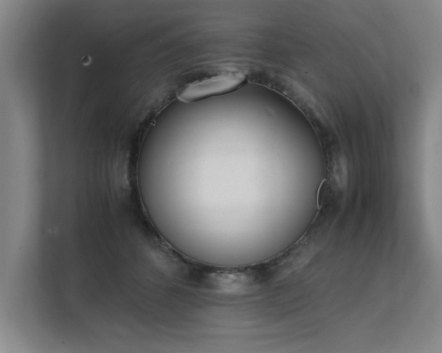 X0000111430512200907201111