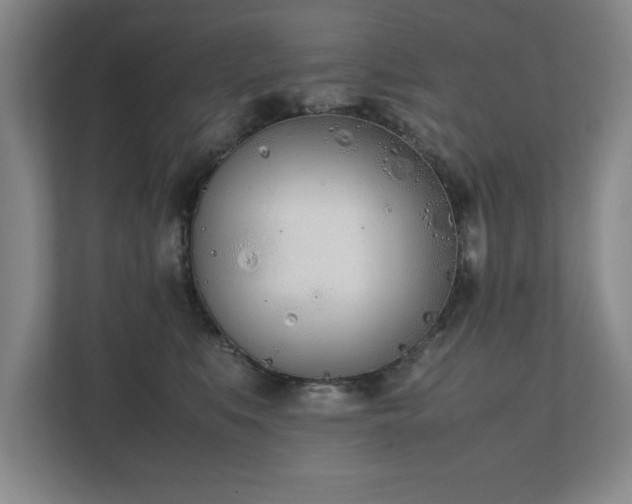 X0000111430519200907201111