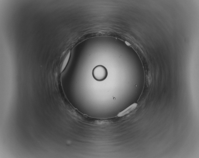 X0000111430520200907201111