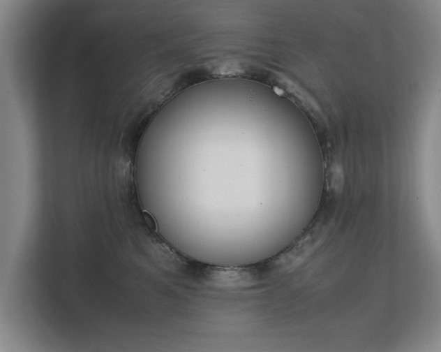 X0000111430521200907201111