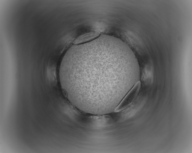 X0000111430524200907201111