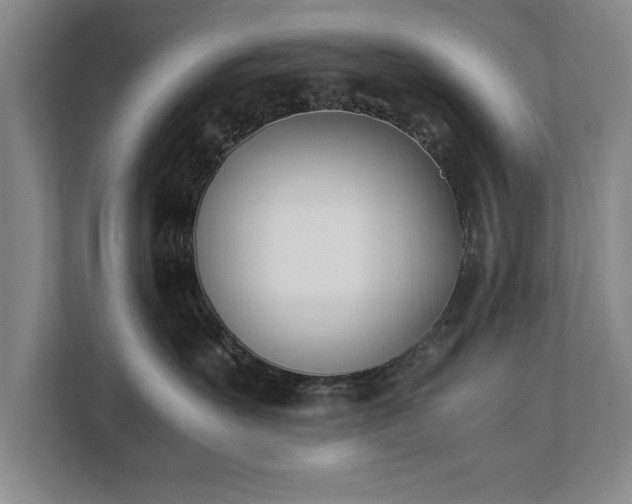 X0000111430527200907201111