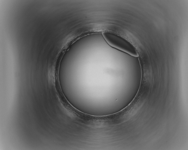 X0000111430530200907201110