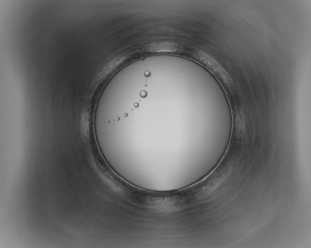 X0000111430533200907201110