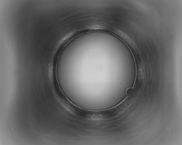 X0000111430535200907201110