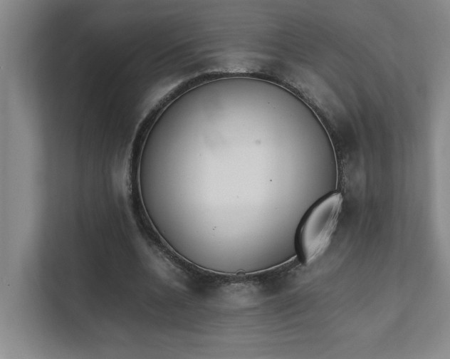 X0000111430536200907201110