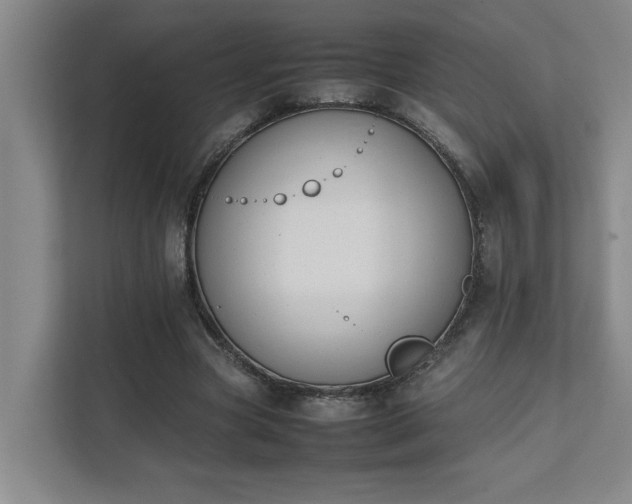 X0000111430537200907201110